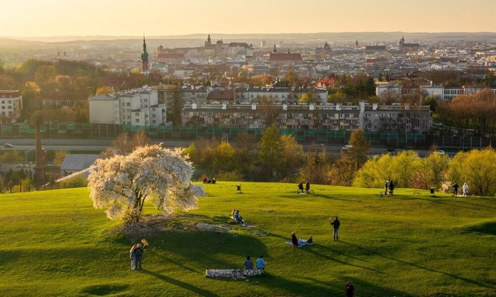 Zapytajmy: jak mogliśmy na to pozwolić?
