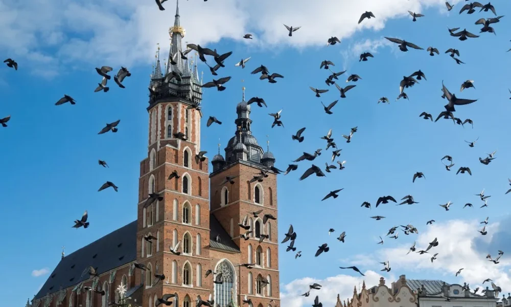 Kraków potrzebuje właściwej skali